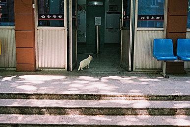 CDPR表示希望更频繁地推出大型游戏